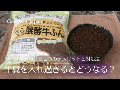 堆肥が臭いのはなぜですか?悪臭を防ぐために避けるべき5つの間違い  庭園