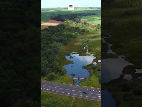 PARQUE NÁUTICO - BATATAIS-SP #shorts