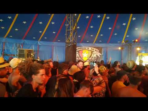 Mungo's HiFi - Dub Camp Festival 2019