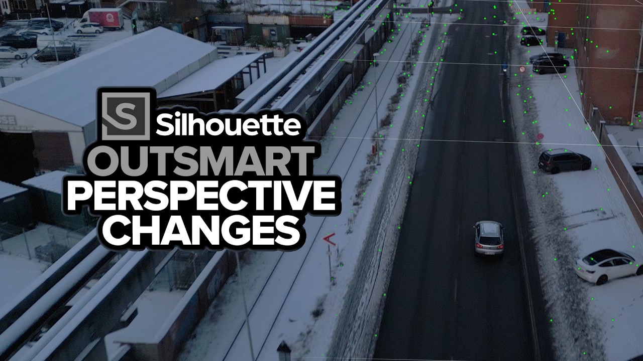 Silhouette: Outsmart Perspective Changes