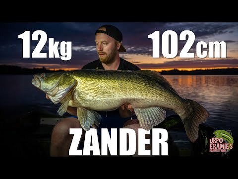 RECORD ZANDER!! - 12kg & 102CM