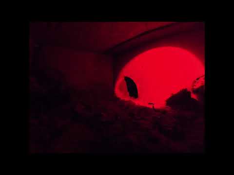 Baujagd Teckel Kunstbau