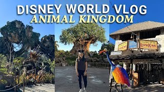 DISNEY WORLD VLOG DAY 4 🌳✨ — Animal Kingdom, Disney Springs, Topolino's Terrace dinner & more!