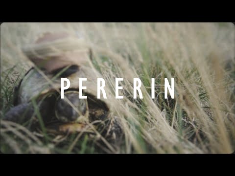 Cesair - Pererin (Official Music Video)
