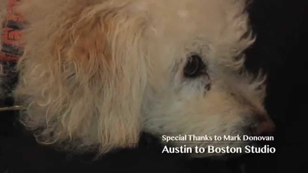 Promotional video thumbnail 3 for The Sieker Band