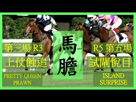 【賽馬貼士】Nek Chang 馬膽 Banker R3 上仗蝕追 PRETTY QUEEN PRAWN R5 試閘悅目 ISLAND SURPRISE Hong Kong Horse Racing