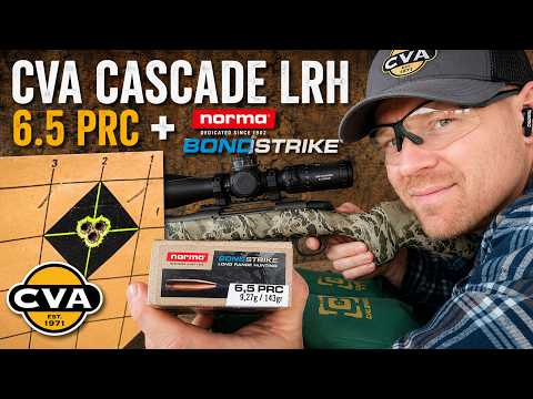 Norma Match .22LR Review WOW!!