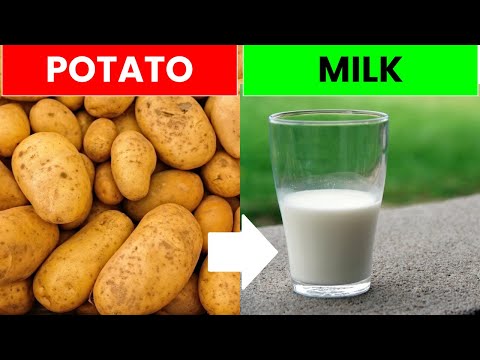 Potato Milk is a Sustainable Non-Diary Vegan Alternative | Future Technology & Science News 37