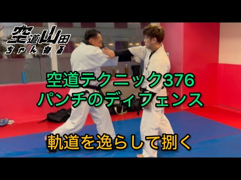 【武道】空道テクニック376「パンチのディフェンス」【格闘技】