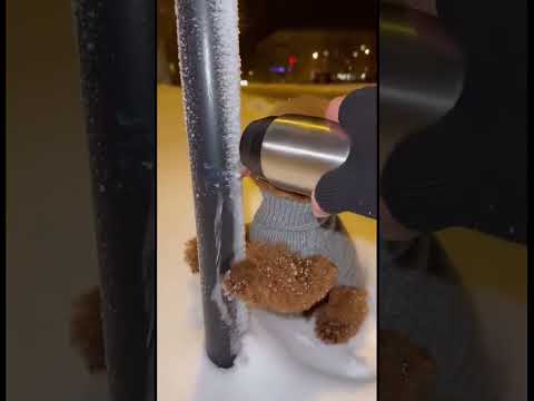 Dính lưỡi rùi Sen ơi cứu Lu