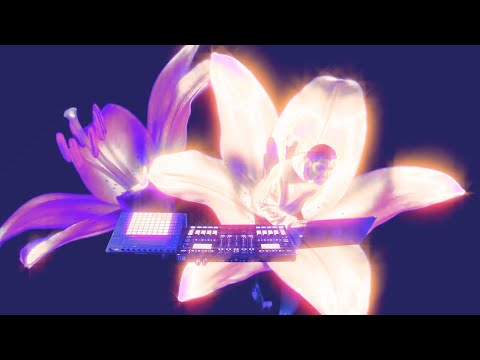 MEMBA - Audio/Visual Set @ Digital Mirage 2 2020