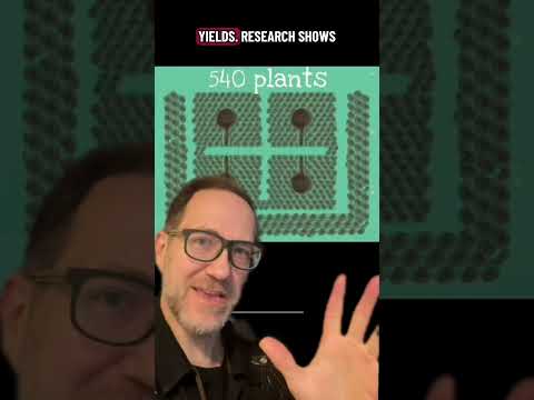 Whats My Size Again - Uphill Gardeners