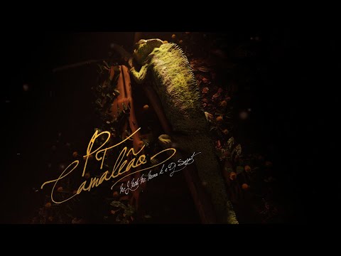 MC J Mito e MC Meno K - PT Camaleão [ Visualizer ] DJ Swat