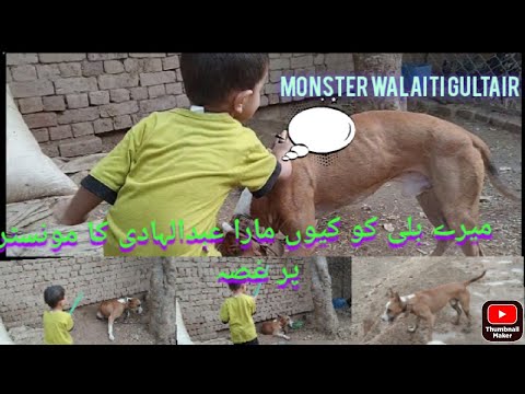 Abdul Hadi Ka Monster Par Gusa 😡 mere Billy Ko Kyn Mara