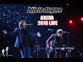 Bijelo Dugme Ako Ima Boga Arena Beograd 2016