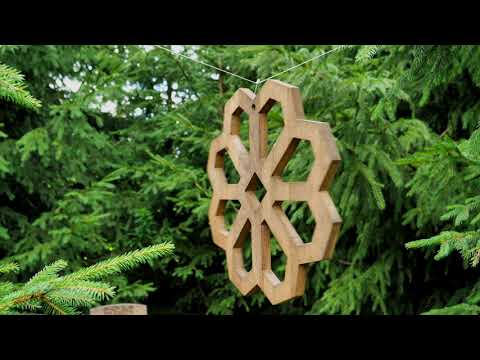 Agaves BaLTU ZĪMJU DĀRZS