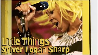 Little Things, Sylver Logan Sharp Music Video