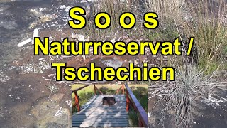 preview picture of video 'Soos bei Cheb(Eger) * Naturschutzgebiet in Tschechien * Schlammvulkane'