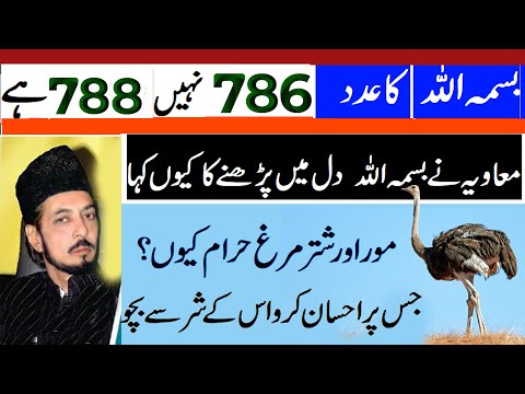 Allama Zameer Akhter | Bismillah   786 Ya 788