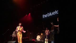 The Bluetones - Solomon Bites the Worm at Old Fruitmarket