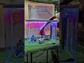 Goldfish TANK Video