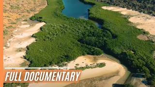 Aquarium Of The World - Diversity at the Pacific Estuary | Full Documentary