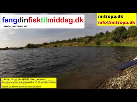 I går blev der sat fisk ud i Mjøls Lystfiskeri