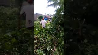 Download lagu Ojo njaluk pegat #videoshort #youtube mp3 Download lagu Ojo njaluk pegat #videoshort #youtube mp3