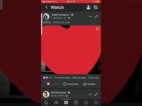 Denis hamidovic dive pala dive mange but paro