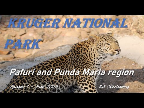 Kruger National Park - June 2023 - Northern Region - Pafuri - Punda Maria - Episode 1 DG Overlanding
