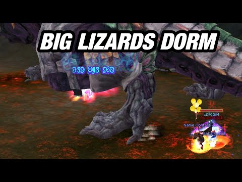 [Insanity Flyff] Big Lizards Bedroom