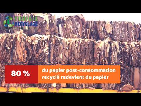 18 mars, c’est la journée mondiale du recyclage ! 18 mars, c’est la journée mondiale du recyclage !