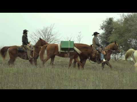 "Untethered" for Tevis Talks, "Unbranded Documentary" Spoof