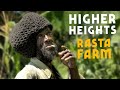 Hike to Higher Heights! Rasta Style Slow Farming in the Mountains of JAMAICA🇯🇲