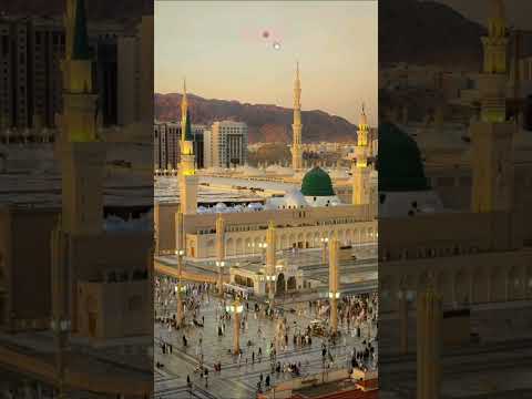 New Motivational kalam 2025 || Kullu Man Alaiha Faan || Muhammad Anas Nazeer  #naat#islamicstatus