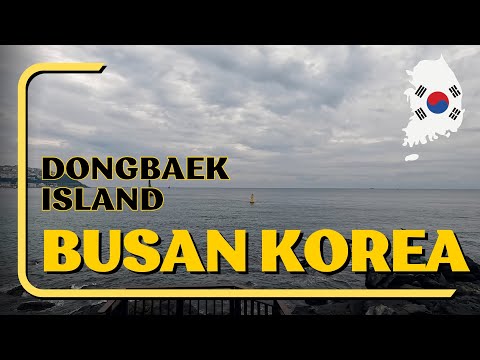 🇰🇷4K Walking Busan Coreia do Sul | Dongbaekseom 동백섬 #부산 #한국 #해운대 #동백섬 #southkorea #busan #Dongbaek