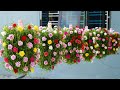 RECYCLE PLASTIC BOTTLES Into Stunning Balcony Gardens