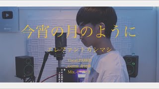 [cover] 今宵の月のように / PARED