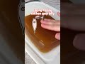 Bursting Soup Dumplings