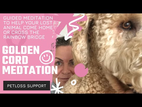 Guided meditation -  help your missing pet come home
