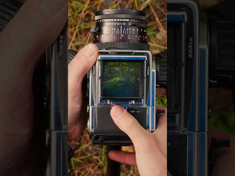 Magically transform a film camera into a digital one