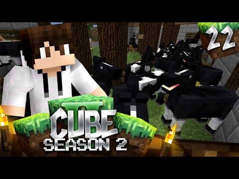 Minecraft Cube SMP S2: E22 - Horse Breeding Prank!
