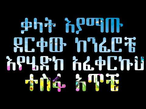 Tigist Fantahun  Endemalagegnh   Music HQ Lyrics Video ትግስት ፋንታሁን   እንደማላገኝህ