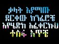 Tigist Fantahun Endemalagegnh Music HQ Lyrics Video ትግስት ፋንታሁን እንደማላገ�