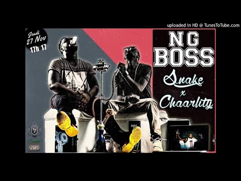 Snake feat Chaarlity - NG BOSS (2014)