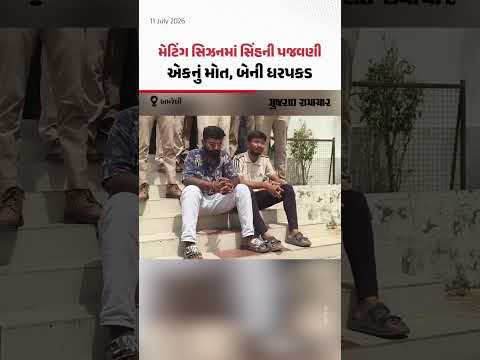 Amreliમાં સિંહના હુમલામાં યુવકના મોતનો કેસ: મેટિંગ સિઝનમાં પજવણીના આરોપમાં 2ની ધરપકડ Amreliમાં સિંહના હુમલામાં યુવકના મોતનો કેસ: મેટિંગ સિઝનમાં પજવણીના આરોપમાં 2ની ધરપકડ