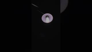 Download lagu Mentahan Video Aesthetic,Storywa✅🔥LINK DONWLOAD👇 mp3