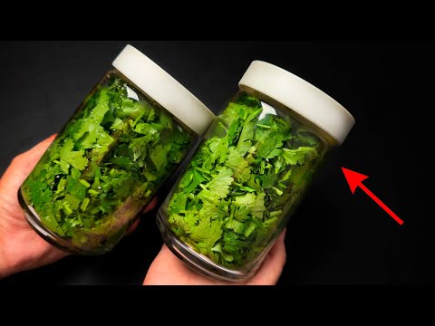 🔥 Brilliant Tricks on How to Preserve Coriander for 1 Year Without Spoiling It