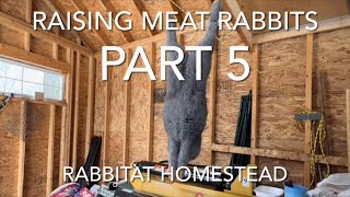 Raising Meat Rabbits Part 5 | Processing Silver Fox Rabbits