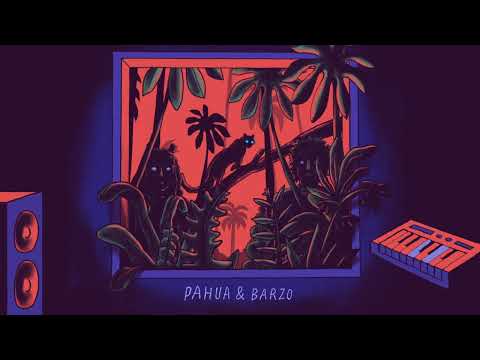 Pahua & Barzo - Sigo Tus Pasos (Audio Oficial)